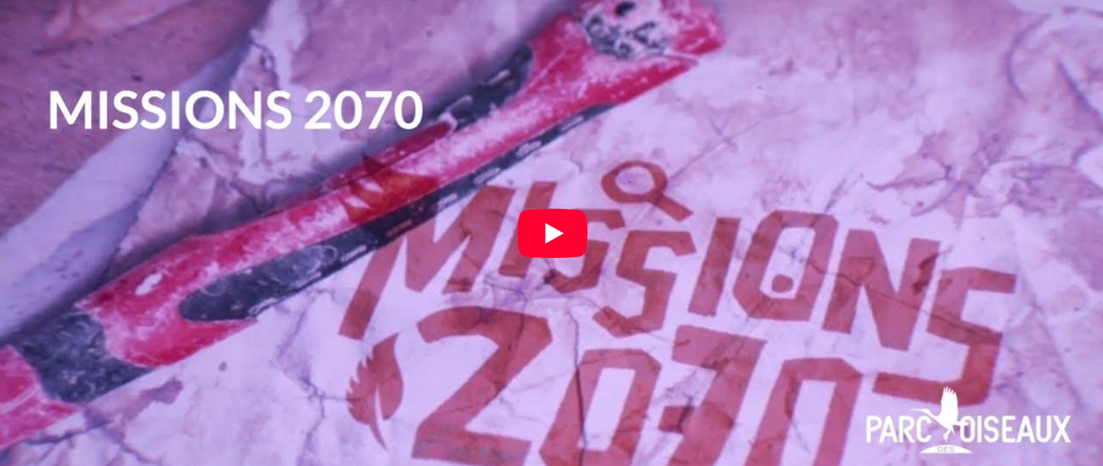 image d'aperçu vidéo