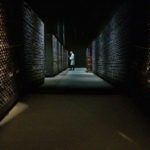 lescharrons-scenographie-cave-de-die-jaillance-museobulles-scenographie immersive